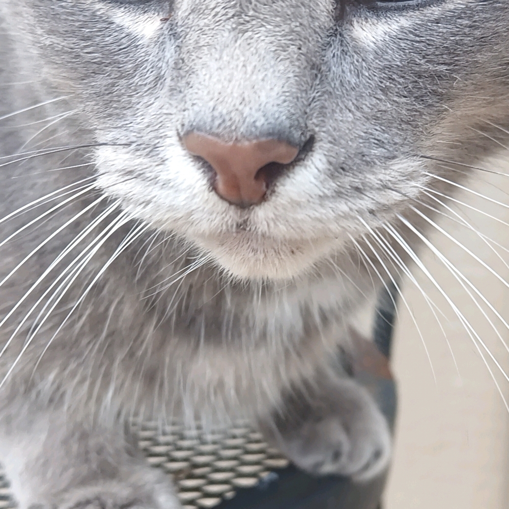 DROP IT LIKES IT HOT FLASH SALE!!🔥🛍 EVERYTHING FREE/DISC. SHIPPING!